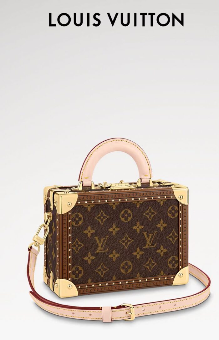 LOUIS VUITTON BOX BAG