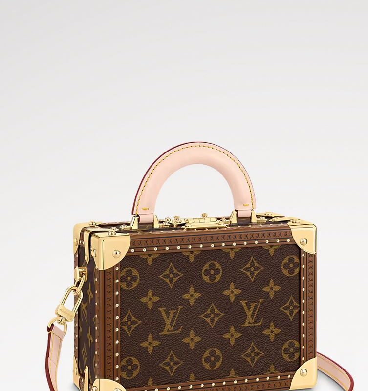 LOUIS VUITTON BOX BAG